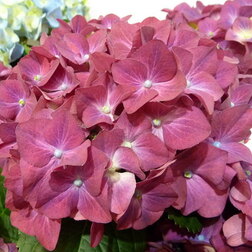 ������ ������ ��������� �������������� ��� ���   ����