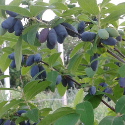 ������ ������ ������� ��������� ��������� ���������� �������   ����