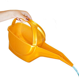 ������ ������ ����� (4 �.)   ����