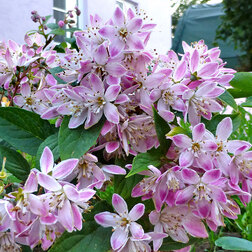 ������ ������ ������ ��������� �������� �����   ����