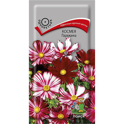 ������ ������ ������ ���������   ����