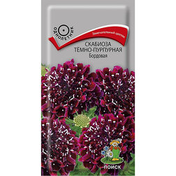 ������ ������ �������� ����-��������� ��������   ����