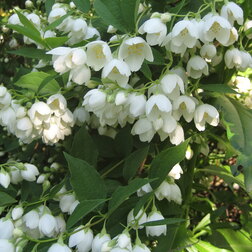 ������ ������ ������ ������� (��������) ����������� (��������� ������)   ����