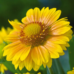 ������ ������ ��������� ����������� ������� ������� (1��-100��) ���������������� ������   ����