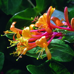 ������ ������ ��������� ������� �������� �����   ����