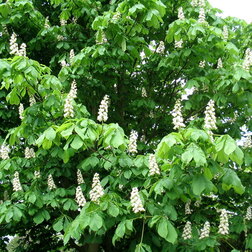 ������ ������ ������� ������� �������� �������������   ����