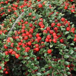 ������ ������ ��������� ��������� ����� �����   ����