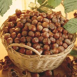 ������ ������ ������� ��������� ������� (������ ������������)   ����