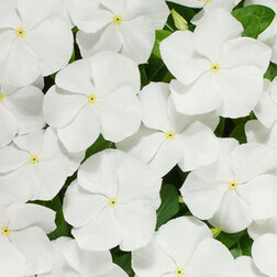 ������ ������ ���������� ������� ���� (1��-1000��) ���������������� ������   ����