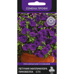 ������ ������ ������� ���������� ��������� ��� (������ �����)   ����