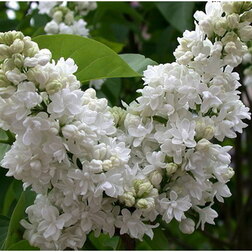 ������ ������ ������������ ������ ������������ ����� ������   ����