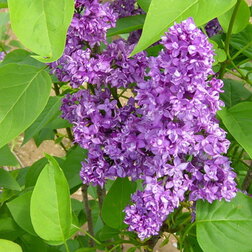 ������ ������ ������ ������������ ����� �����   ����