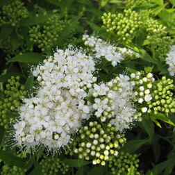 ������ ������ ������ �������� ���������   ����