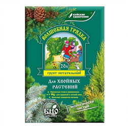 ������ ������ ��������� ������ ����� ��� ������� (20�.)   ����