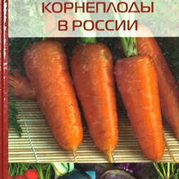 ������ ������ �������� ���������� � ������   ����