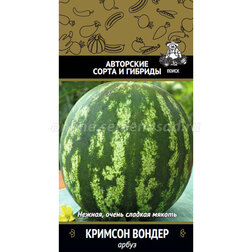 ������ ������ ����� ������� ������   ����