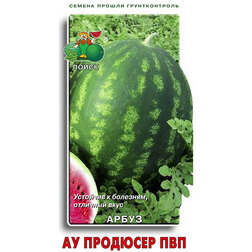 ������ ������ ����� �� ��������   ����