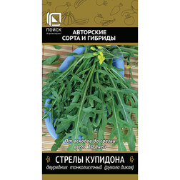 ������ ������ ��������� ������������ ������ �������� (������ �����)   ����