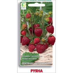 ������ ������ ��������� ������������ �����   ����