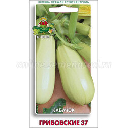 ������ ������ ������� ���������� 37   ����