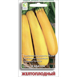 ������ ������ ������� ������������   ����