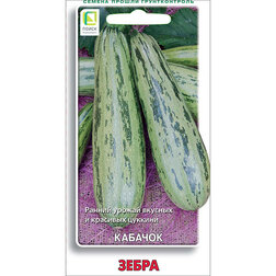 ������ ������ ������� �����   ����