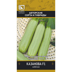 ������ ������ ������� �������� F1   ����