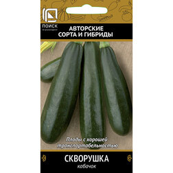 ������ ������ ������� ���������   ����