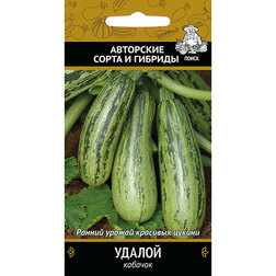 ������ ������ ������� ������   ����