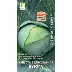 ������ ������ ������� ������������ ����� (��������� �����)   ����