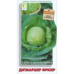 ������ ������ ������� ������������ ��������� �����   ����