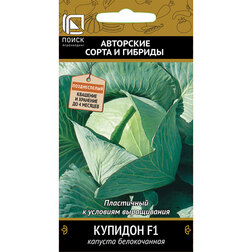 ������ ������ ������� ������������ ������� F1   ����