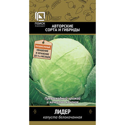 ������ ������ ������� ������������ �����   ����