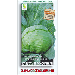 ������ ������ ������� ������������ ����������� ������   ����