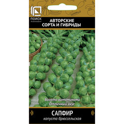 ������ ������ ������� ������������ ������   ����