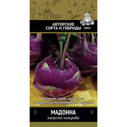 ������ ������ ������� �������� �������   ����