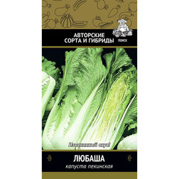 ������ ������ ������� ��������� ������   ����