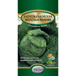 ������ ������ ������� ��������� ������� ������   ����