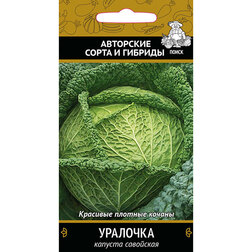 ������ ������ ������� ��������� ��������   ����