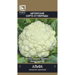 ������ ������ ������� ������� �����   ����