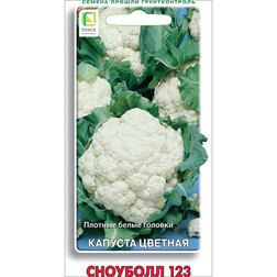 ������ ������ ������� ������� �������� 123   ����