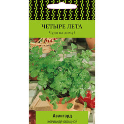 ������ ������ �������� ������� �������� (������ ����)   ����