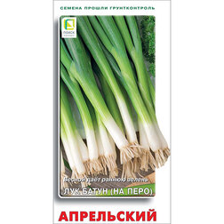 ������ ������ ��� ����� ����������   ����