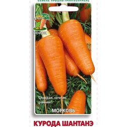 ������ ������ ������� ������ �������   ����