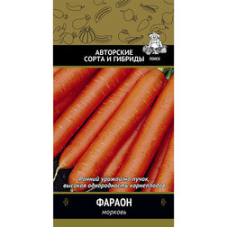 ������ ������ ������� ������   ����