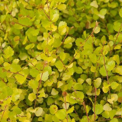 ������ ������ ������ ���������� ������ �����   ����