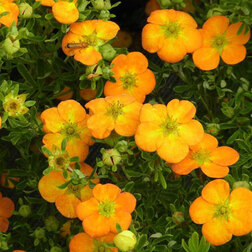 ������ ������ �������� ������������� ����� ���   ����