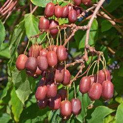 ������ ������ ��������� ������ ������� ��������� ����   ����