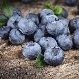 ������ ������ �������� ������������ ����   ����