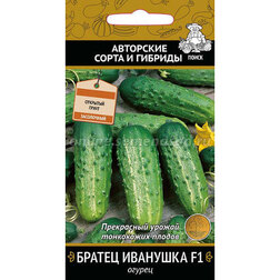 ������ ������ ������ ������ �������� F1   ����